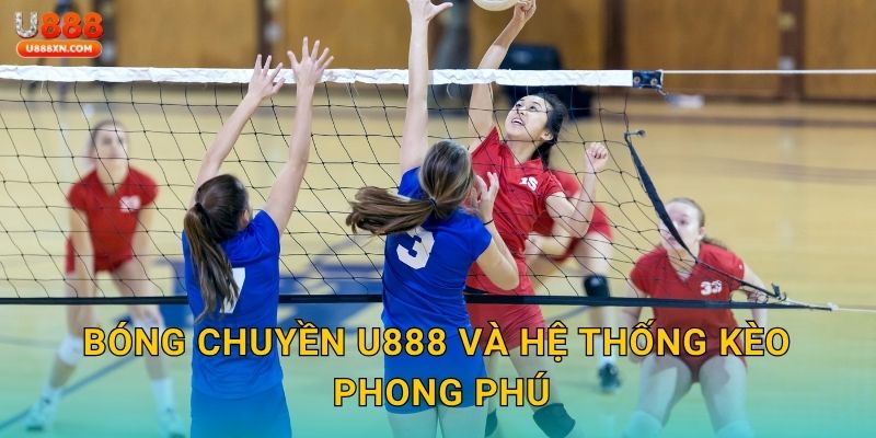 Bóng chuyền U888 và hệ thống kèo phong phú