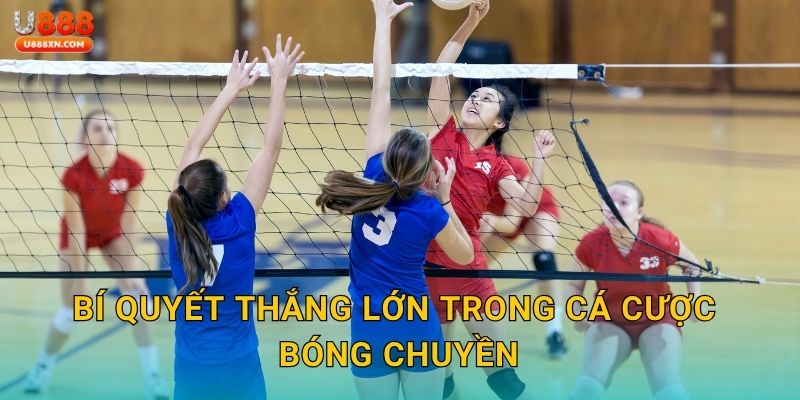 Bí quyết thắng lớn trong cá cược bóng chuyền