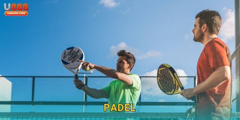 Padel độc đáo – Mở rộng lựa chọn thể thao tại U888