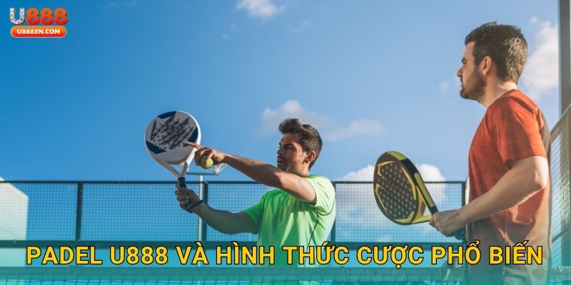 Padel U888 và hình thức cược phổ biến
