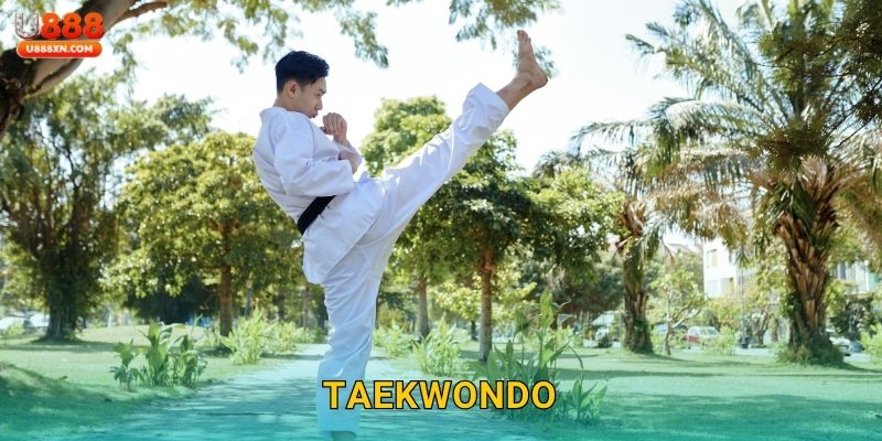 Taekwondo mạnh mẽ – Nắm bắt cơ hội thắng lớn tại U888